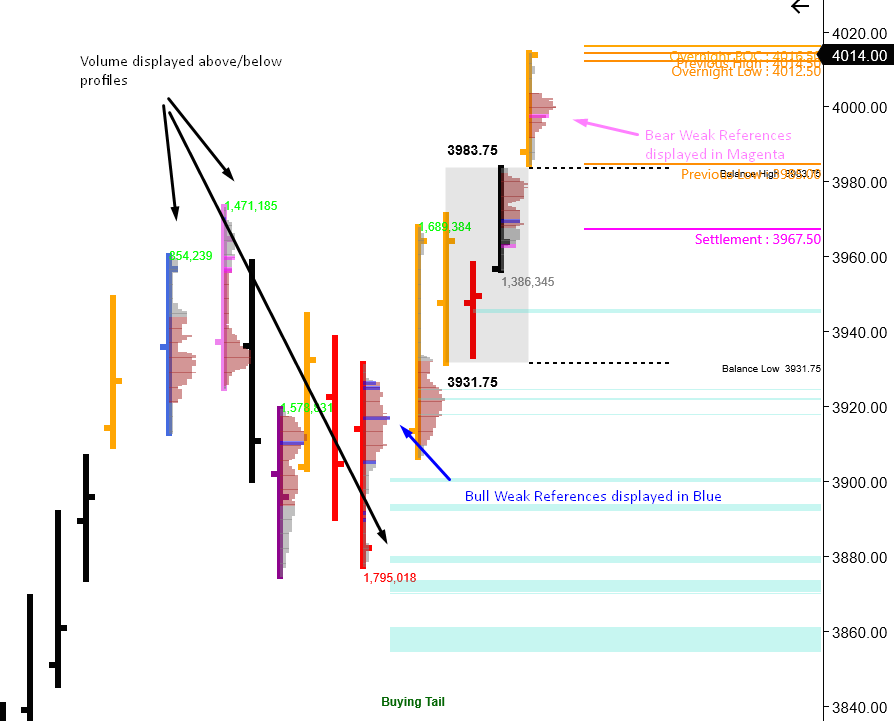 Profile Builder chart Profile Builder Module